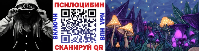 Купить где Советский Галлюциногенные грибы прущие грибы
